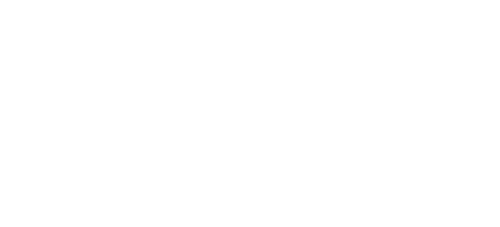 Debitlix